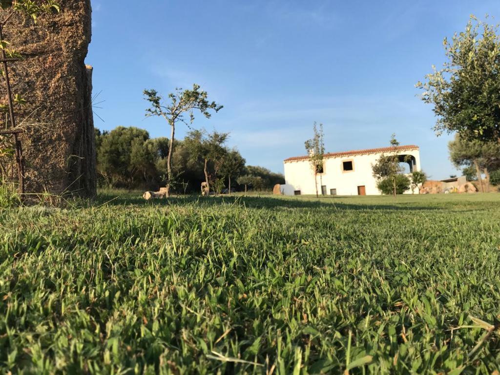 Villa Gaia Arzachena Zewnętrze zdjęcie
